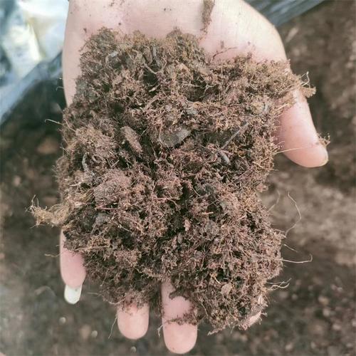 花土批发全指南 高端营养土、兰花多肉专用土与有机基质的选配与种植技巧