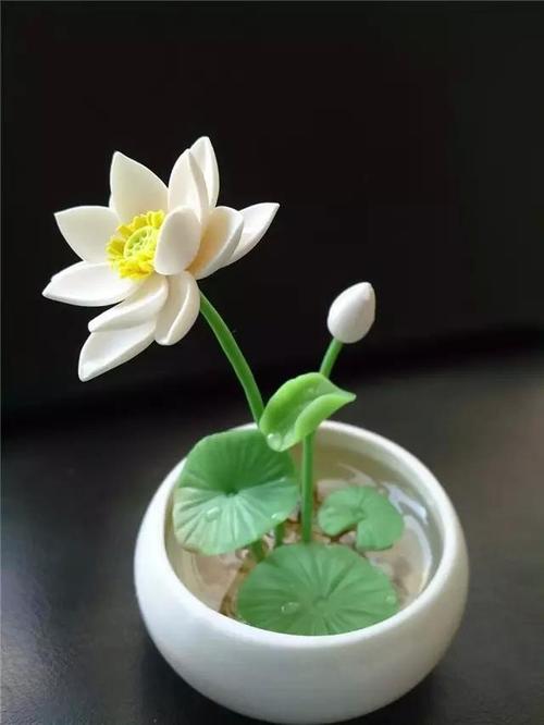 花卉苗木种植前景与高经济效益品种分析