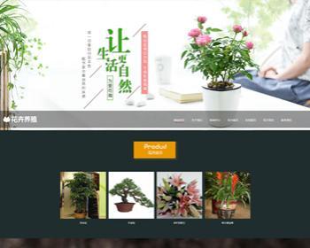 绿意盎然，匠心呈现 花卉种植企业高端响应式官网建设方案
